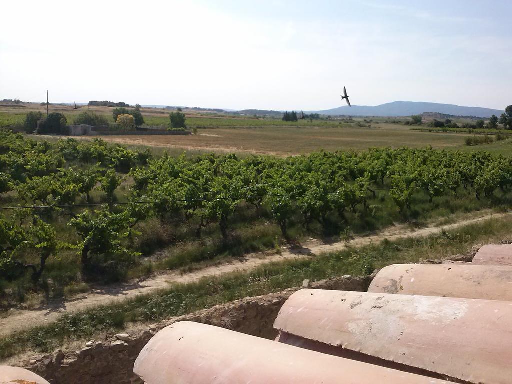 Chambre D'Hotes Le Massanous Laure-Minervois 客房 照片